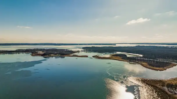 Słonecznie i zimowo przy moście Sztynorckim - zdjęcie 10