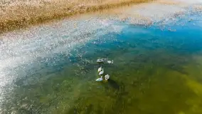 Słonecznie i zimowo przy moście Sztynorckim - zdjęcie 19