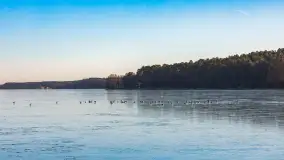 Jak wyglądają Mikołajki pod koniec zimy? Ano tak. - zdjęcie 14