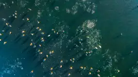 Jak wyglądają Mikołajki pod koniec zimy? Ano tak. - zdjęcie 31