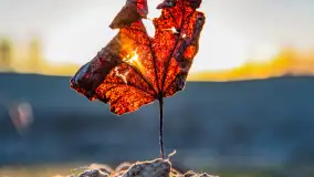 Zachód słońca nad jeziorem Gołdopiwo, marzec 2023 r. - zdjęcie 31