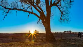 Zachód słońca nad jeziorem Gołdopiwo, marzec 2023 r. - zdjęcie 19