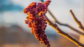 Zachód słońca nad jeziorem Gołdopiwo, marzec 2023 r. - zdjęcie 11