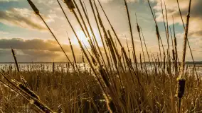 Zachód słońca nad Niegocinem widoczny z dzikiej plaży - zdjęcie 22