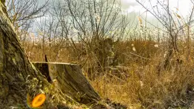 Zachód słońca nad Niegocinem widoczny z dzikiej plaży - zdjęcie 31