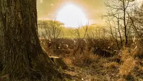 Zachód słońca nad Niegocinem widoczny z dzikiej plaży - zdjęcie 14