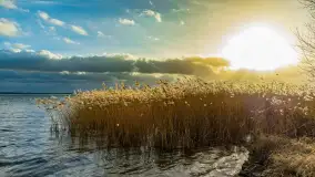 Zachód słońca nad Niegocinem widoczny z dzikiej plaży - zdjęcie 44