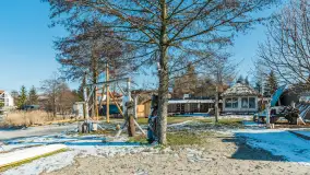 Tło dla Mew u progu nowego sezonu 2023 - zdjęcie 7