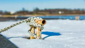 Tło dla Mew u progu nowego sezonu 2023 - zdjęcie 18