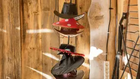 Tło dla Mew u progu nowego sezonu 2023 - zdjęcie 13