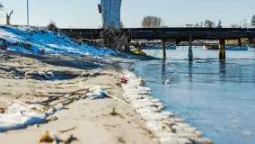 Tło dla Mew u progu nowego sezonu 2023 - zdjęcie 14