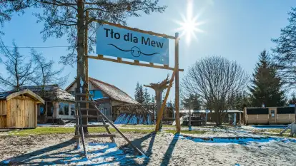 Tło dla Mew u progu nowego sezonu 2023