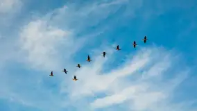 Zachód słońca nad jeziorem Tałty, końcówka lutego 2023 r. - zdjęcie 24