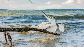 Południowy brzeg jeziora Negocin, lodowe formy, marzec 2023 - zdjęcie 7