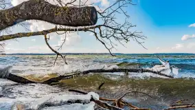 Południowy brzeg jeziora Negocin, lodowe formy, marzec 2023 - zdjęcie 4