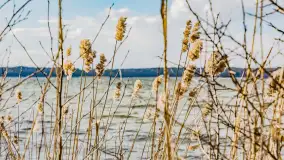 Przedwiośnie nad Niegocinem przy Kleszczewie Osada - zdjęcie 8