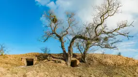 Grodzisko Św. Góra, jezioro Wojnowo, marzec 2023 r. - zdjęcie 3