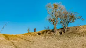 Grodzisko Św. Góra, jezioro Wojnowo, marzec 2023 r. - zdjęcie 24