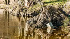 Grodzisko Św. Góra, jezioro Wojnowo, marzec 2023 r. - zdjęcie 28