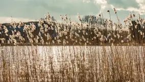 Grodzisko Św. Góra, jezioro Wojnowo, marzec 2023 r. - zdjęcie 16