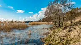 Grodzisko Św. Góra, jezioro Wojnowo, marzec 2023 r. - zdjęcie 46