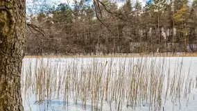 Wyspa Wydmińska i jezioro Wydmińskie, końcówka zimy 2023 r. - zdjęcie 29