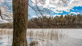 Wyspa Wydmińska i jezioro Wydmińskie, końcówka zimy 2023 r. - zdjęcie 37