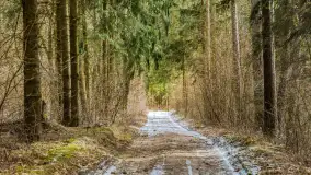 Wyspa Wydmińska i jezioro Wydmińskie, końcówka zimy 2023 r. - zdjęcie 14