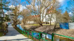 Poszukiwania wiosny w Węgorzewie, marzec 2023 r. - zdjęcie 10