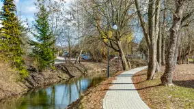 Poszukiwania wiosny w Węgorzewie, marzec 2023 r. - zdjęcie 14