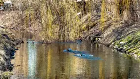 Poszukiwania wiosny w Węgorzewie, marzec 2023 r. - zdjęcie 13