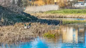 Poszukiwania wiosny w Węgorzewie, marzec 2023 r. - zdjęcie 16