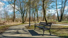 Poszukiwania wiosny w Węgorzewie, marzec 2023 r. - zdjęcie 35