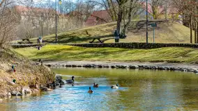 Poszukiwania wiosny w Węgorzewie, marzec 2023 r. - zdjęcie 32