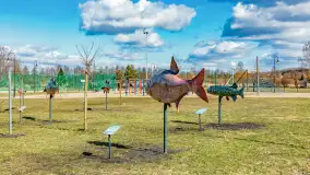 Poszukiwania wiosny w Węgorzewie, marzec 2023 r. - zdjęcie 53