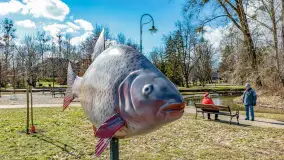 Poszukiwania wiosny w Węgorzewie, marzec 2023 r. - zdjęcie 42