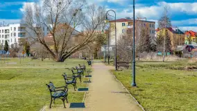 Poszukiwania wiosny w Węgorzewie, marzec 2023 r. - zdjęcie 57