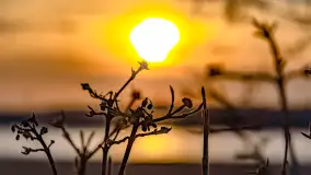 Zachód słońca nad jeziorem Mamry, plaża miejska w Węgorzewie - zdjęcie 28