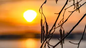 Zachód słońca nad jeziorem Mamry, plaża miejska w Węgorzewie - zdjęcie 15