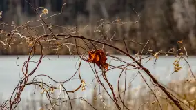 Weekend na dziko nad jeziorem Tyrkło. marzec 2023 r. - zdjęcie 45