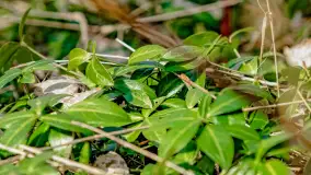 Weekend na dziko nad jeziorem Tyrkło. marzec 2023 r. - zdjęcie 42