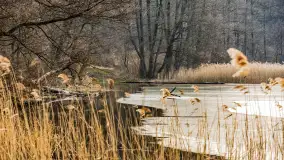 Wschód słońca nad jeziorem Tyrkło, marzec 2023 r. - zdjęcie 10