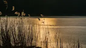 Wschód słońca nad jeziorem Tyrkło, marzec 2023 r. - zdjęcie 18