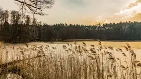 Wschód słońca nad jeziorem Tyrkło, marzec 2023 r. - zdjęcie 52