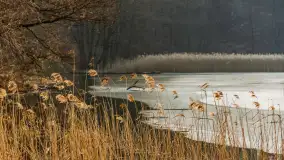 Wschód słońca nad jeziorem Tyrkło, marzec 2023 r. - zdjęcie 26