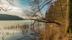 Wschód słońca nad jeziorem Tyrkło, marzec 2023 r. - zdjęcie 36