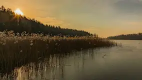 Wschód słońca nad jeziorem Tyrkło, marzec 2023 r. - zdjęcie 45