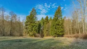 Wschód słońca nad jeziorem Tyrkło, marzec 2023 r. - zdjęcie 37