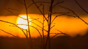 Zachód słońca, z innej perspektywy, marzec 2023 r. - zdjęcie 16