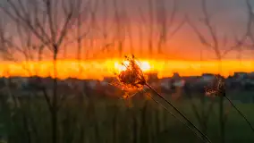 Zachód słońca, z innej perspektywy, marzec 2023 r. - zdjęcie 26